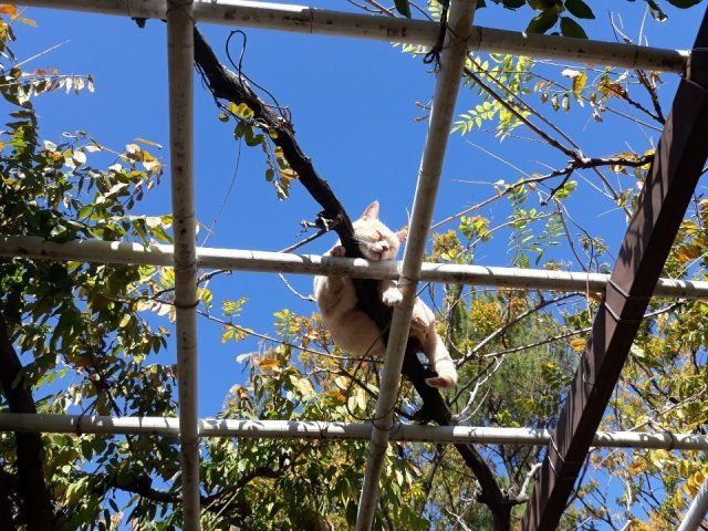 김어진이 블랑디나