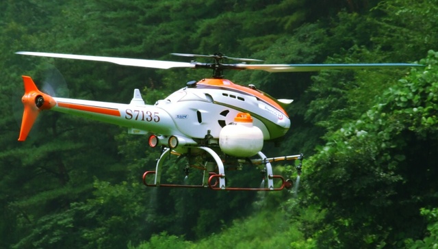 하늘사랑 나의꿈