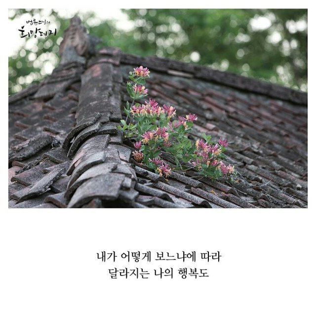 이경아