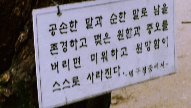 달빛그림자