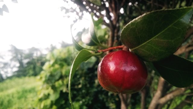 은미 넌 매력덩이