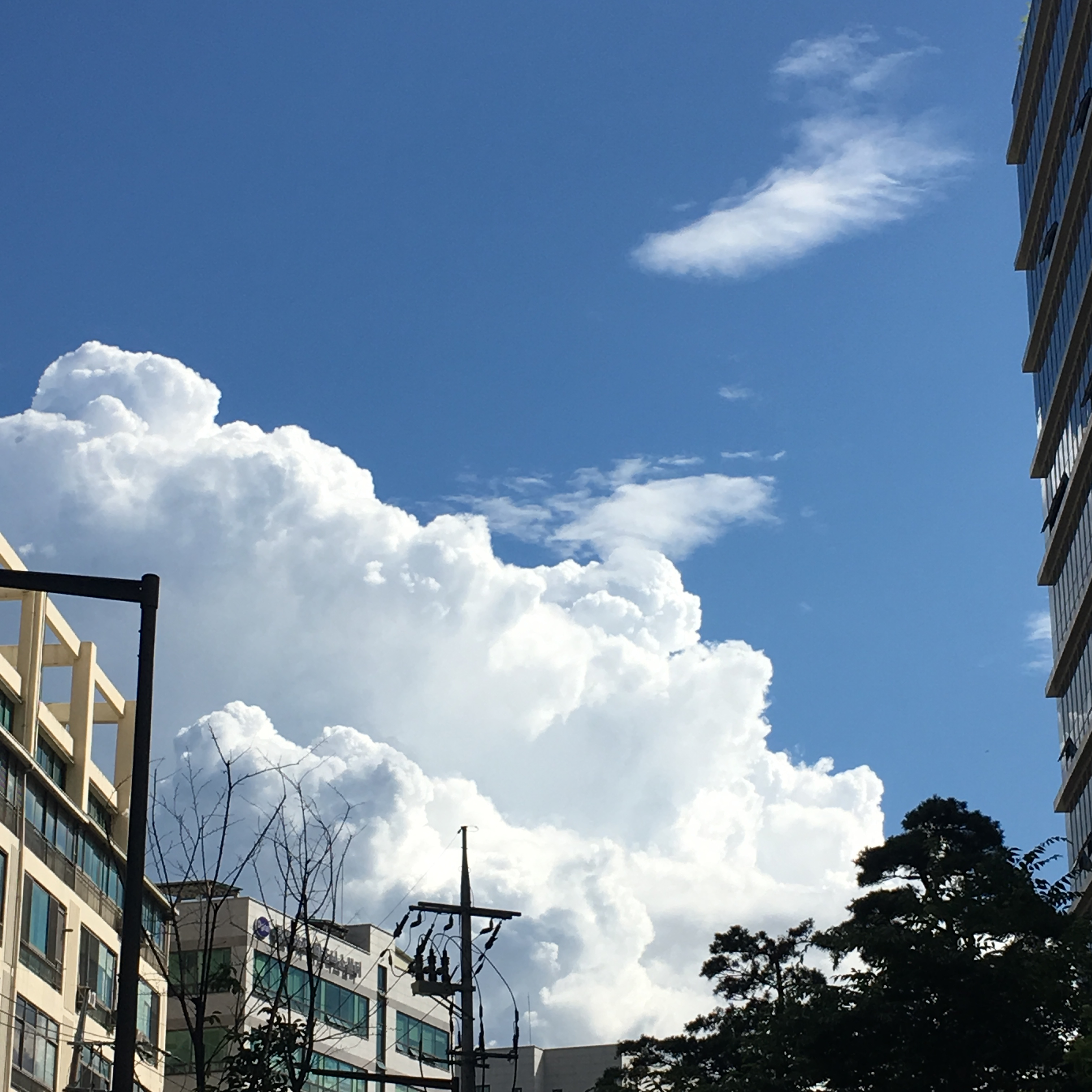 면의 또 다른 면