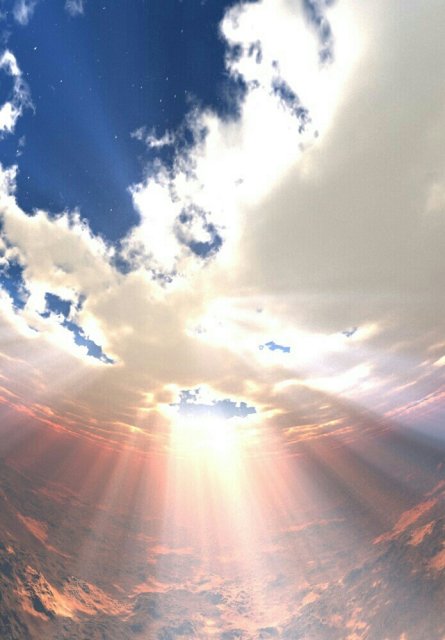 코딩하는코린이