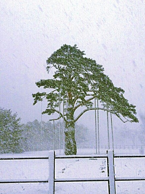 몬테크리스토백작