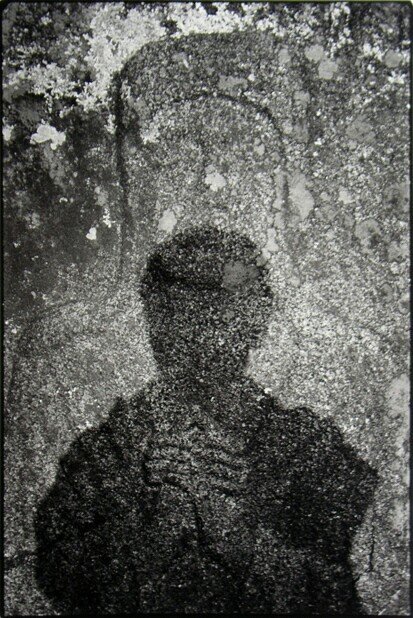 문수봉에 푸른소나무