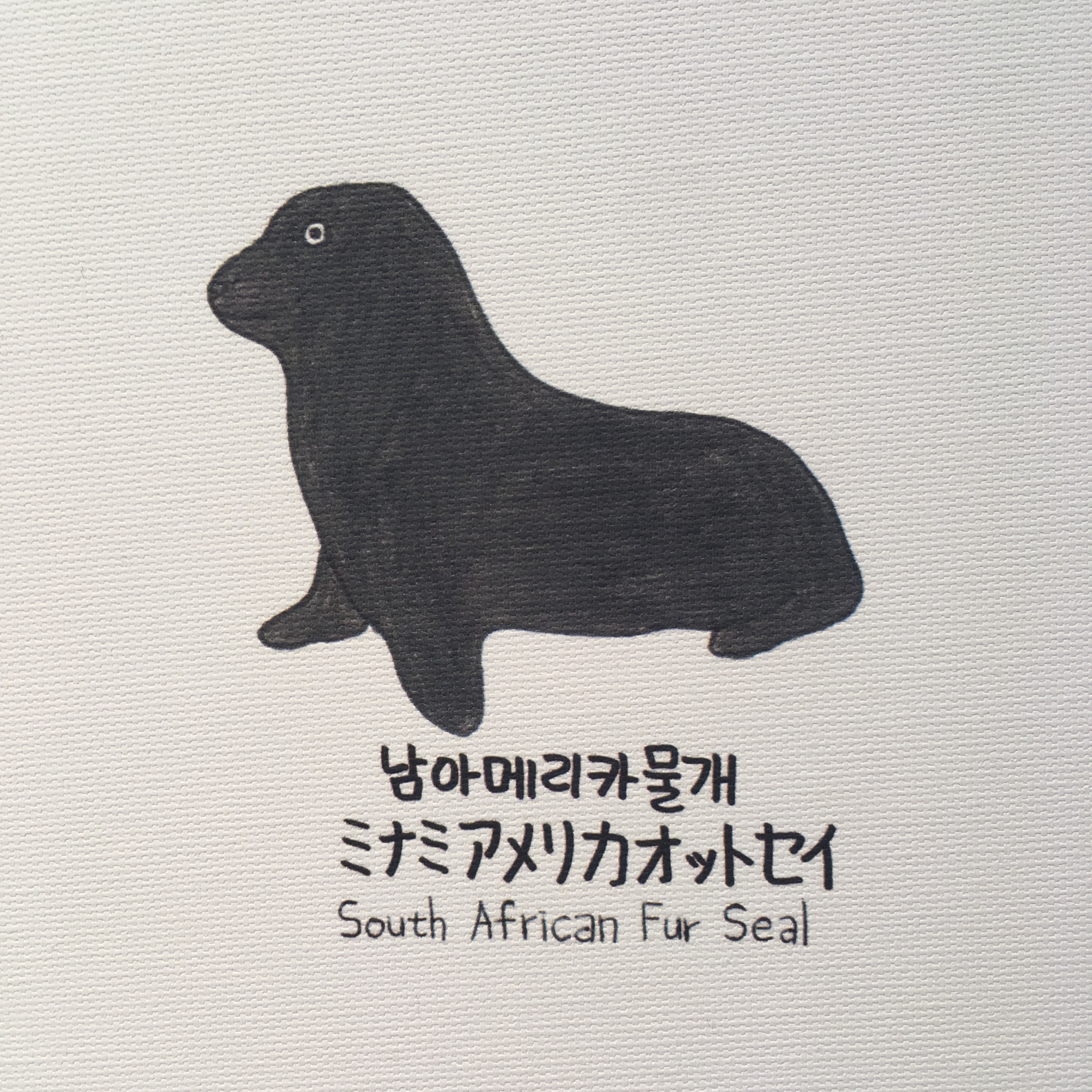 물개 박수 짝짝짝