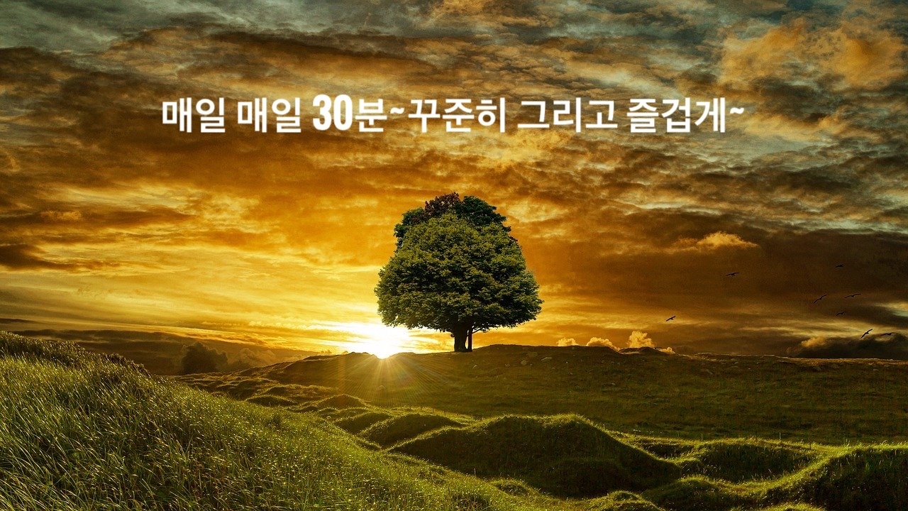 빛맘