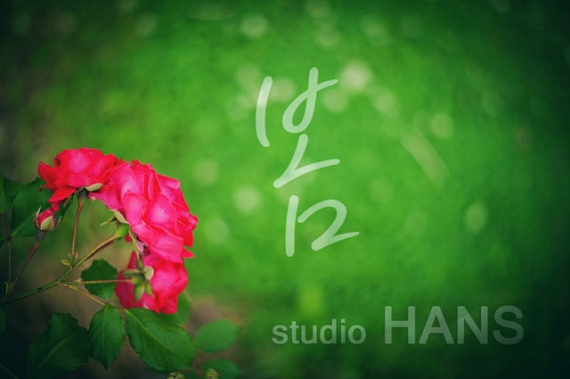 H A N S