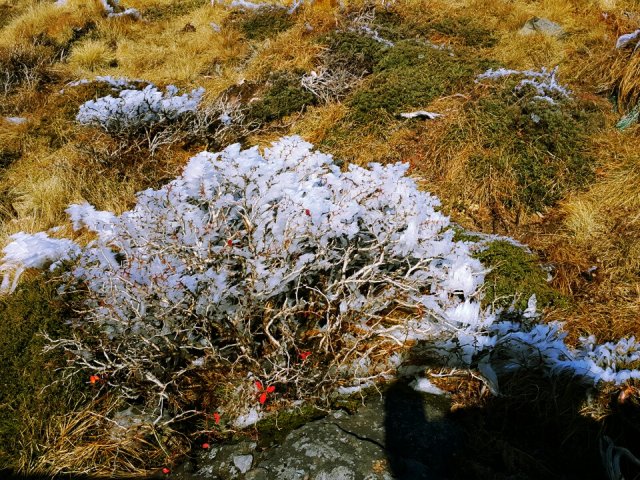 사랑받는김기자