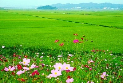 발바닥을 땅에 붙인 엄마