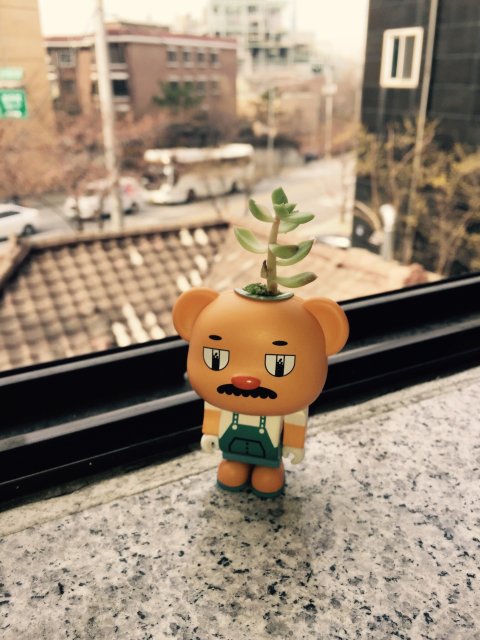 신촌의 고요한 영혼