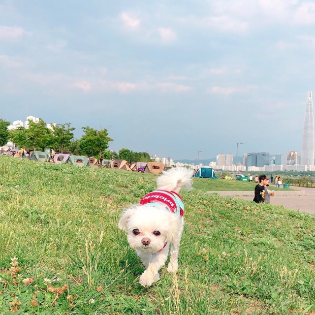 간지리