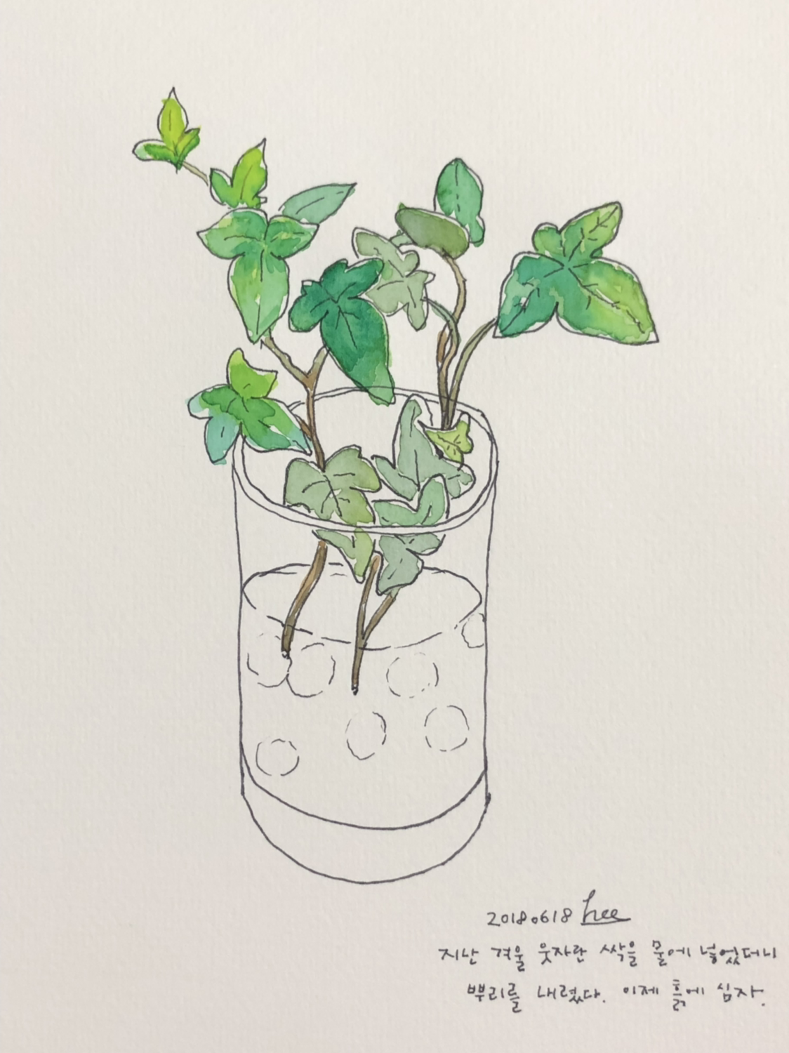 아이비 - 20180618