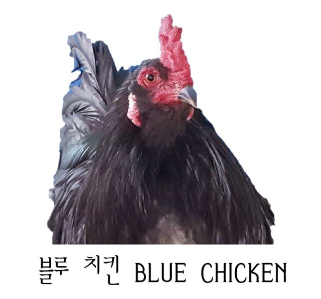 블루치킨