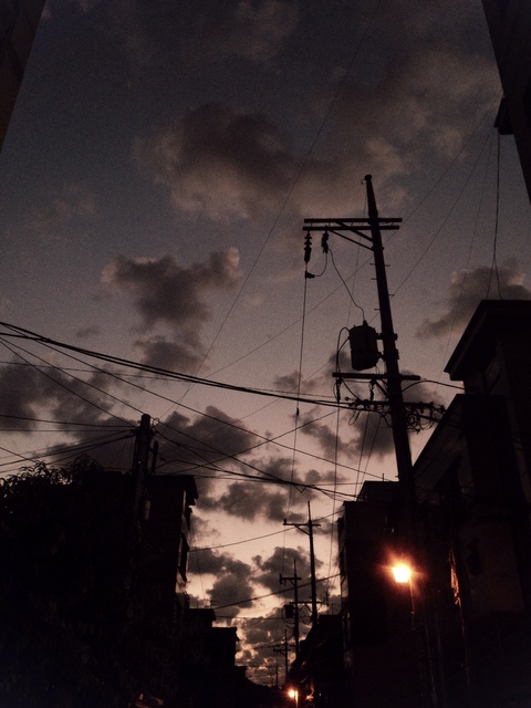 김정기정기정김