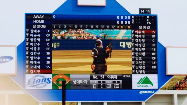 초코맛 고슴도치