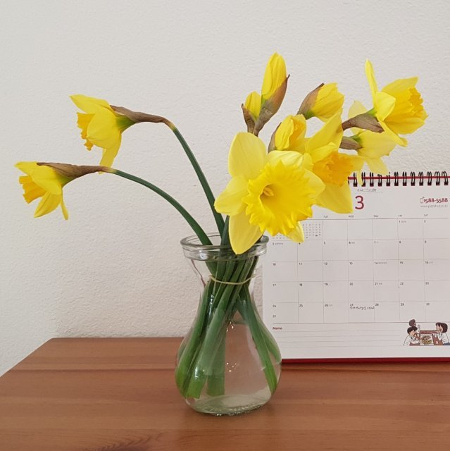 이문구 in San Diego