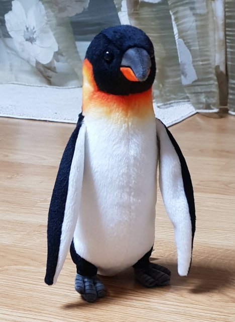 모니카