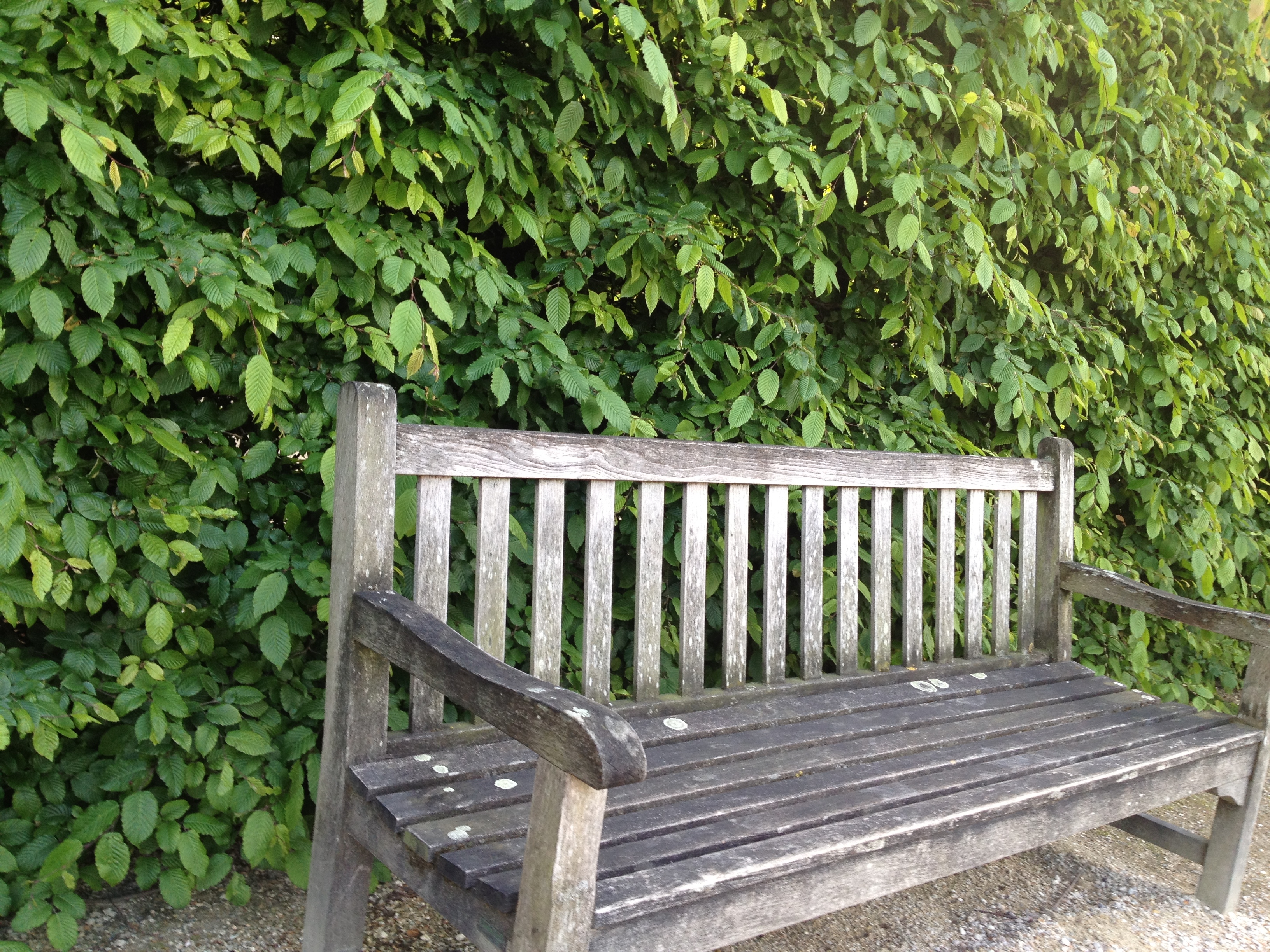 의미있는 날들의 시선