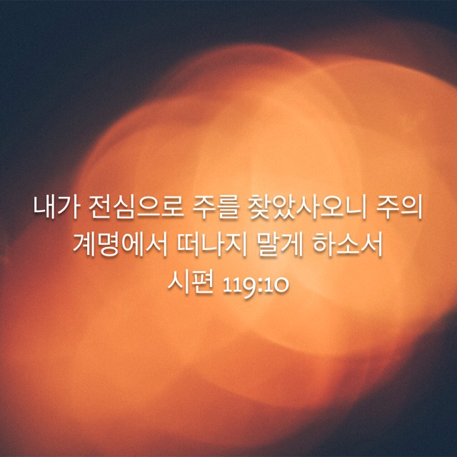 이민애