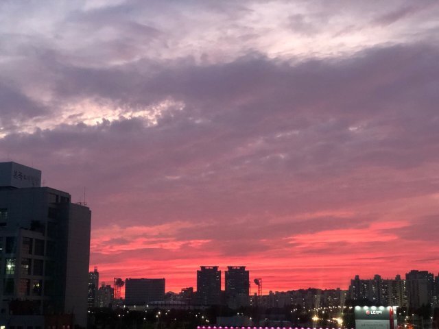 오래된정원