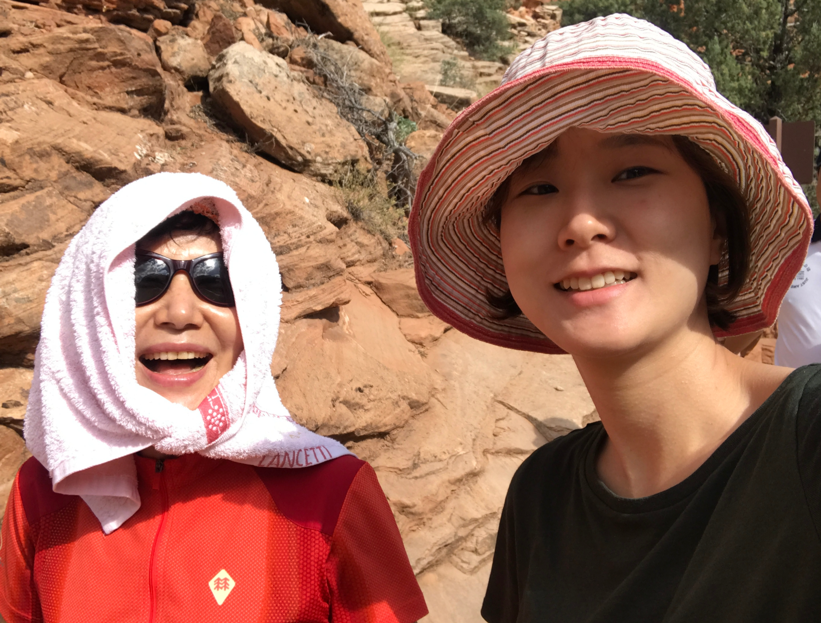샌드자이언 이미지