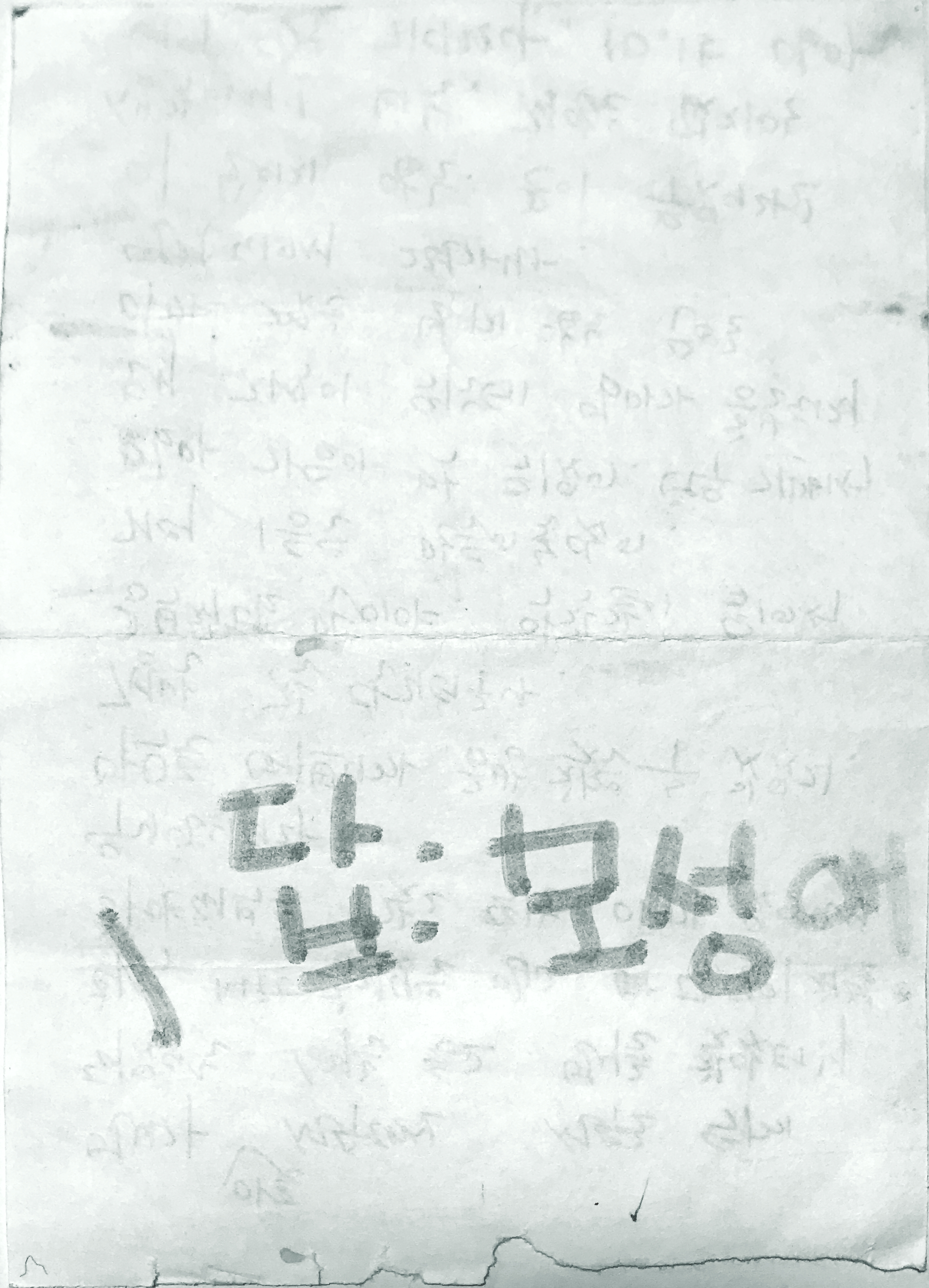 딸에게 보내는 도시락 편지: 화정, 유빈에게 1999