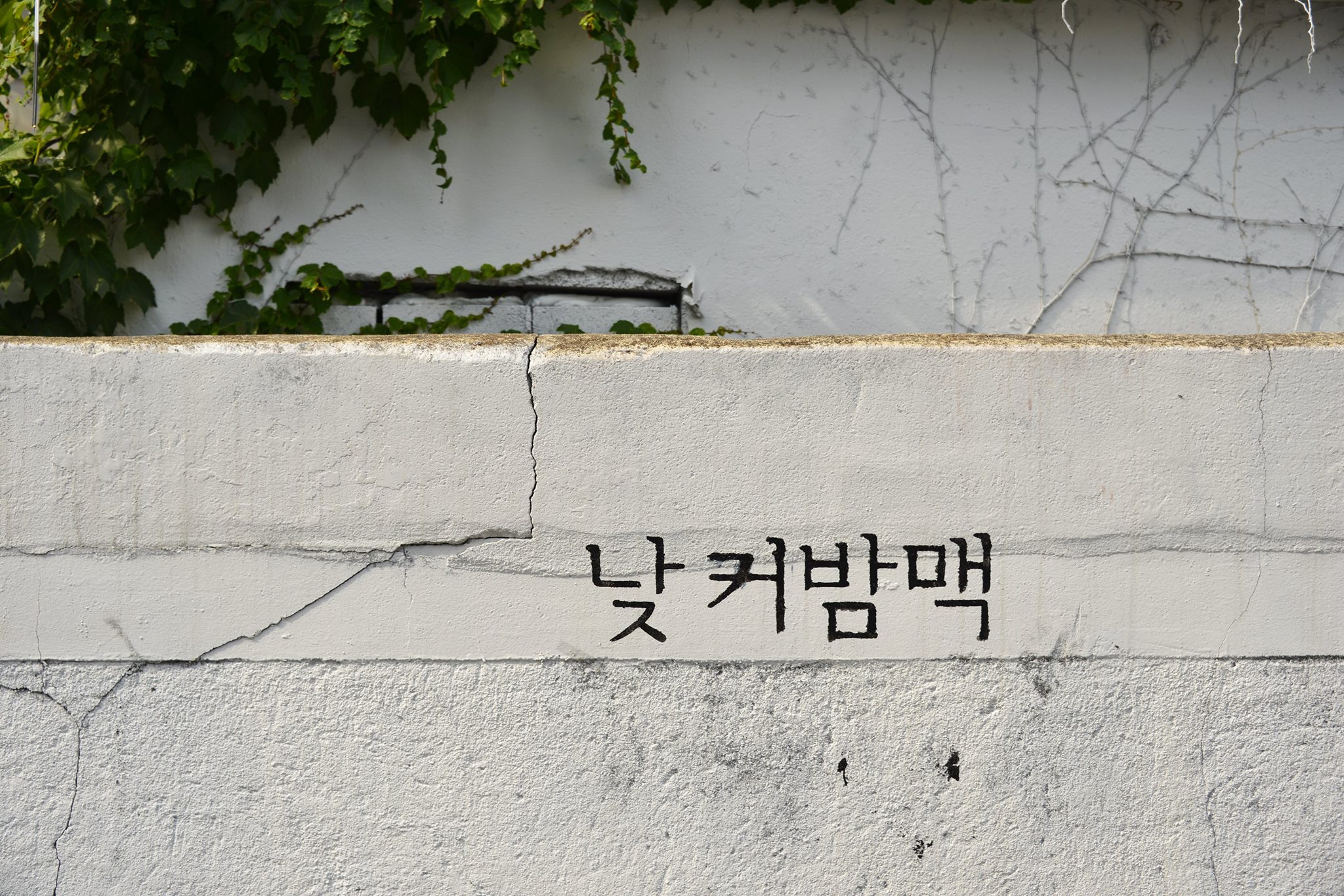 카페 이름 짓기