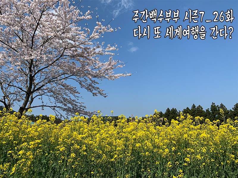 세계여행주 이미지