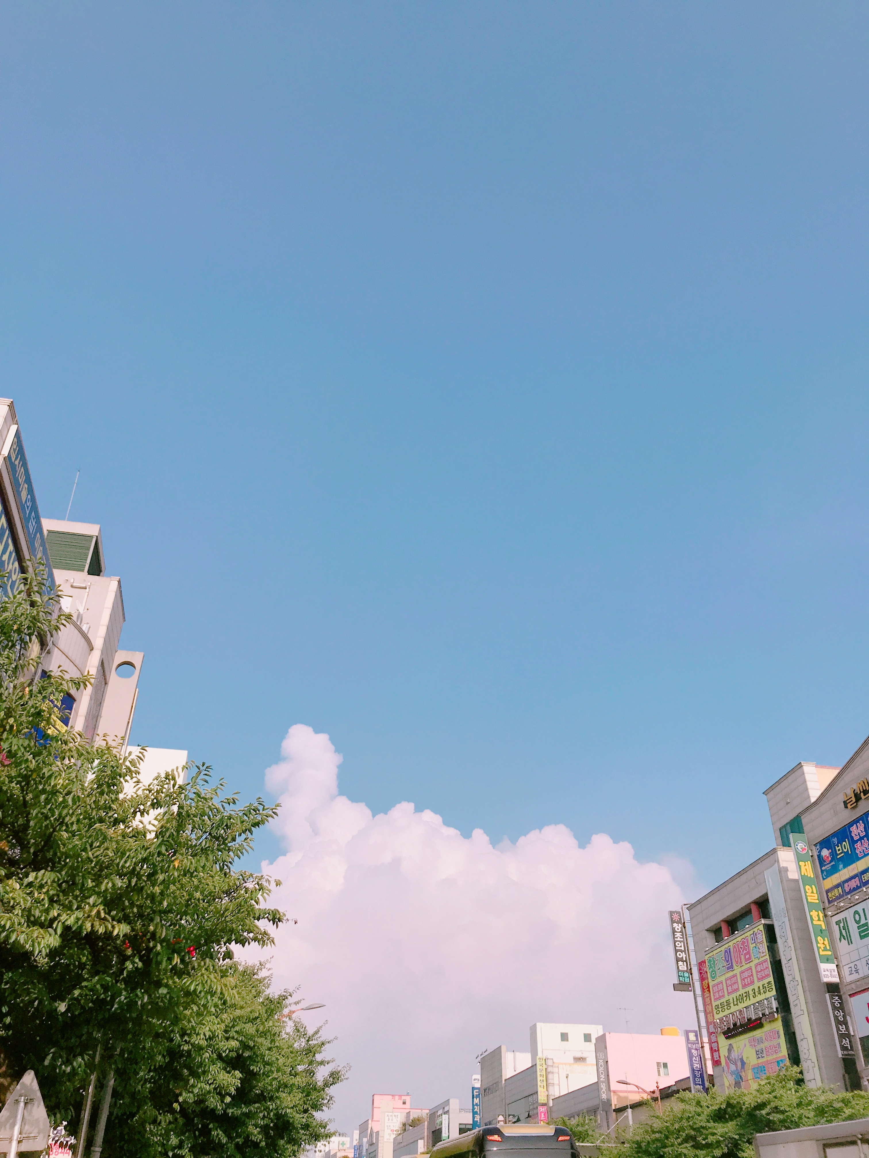 매운너구리라면s