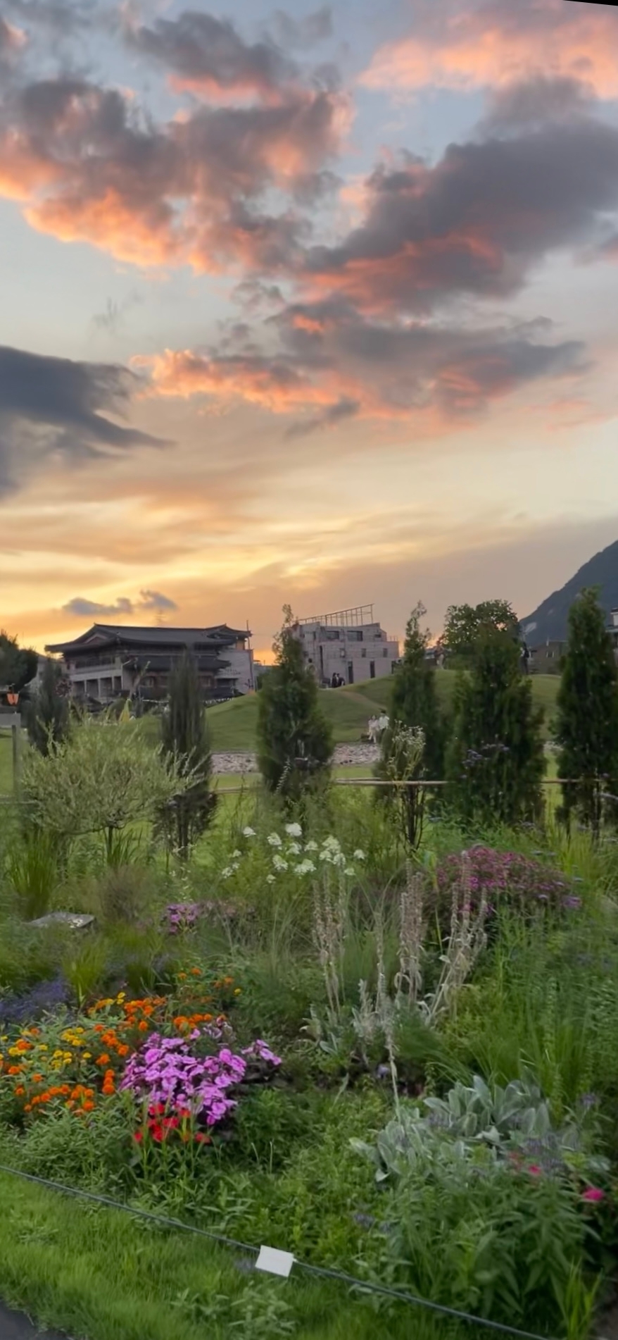 차가움 속 온기