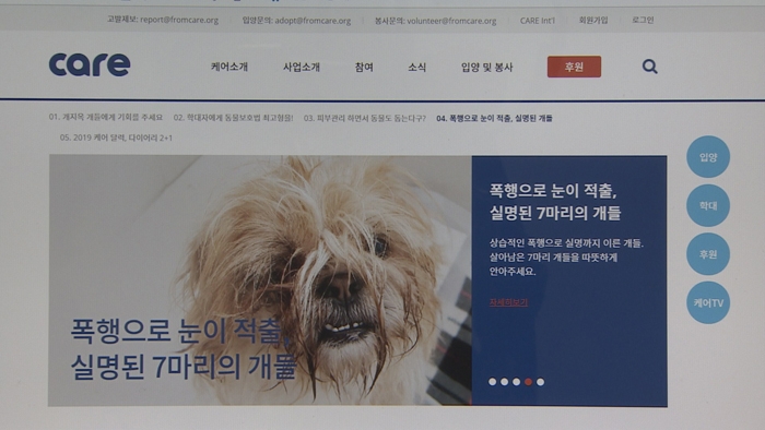 "케어"사건. 그리고 남겨진 동물을 위해서