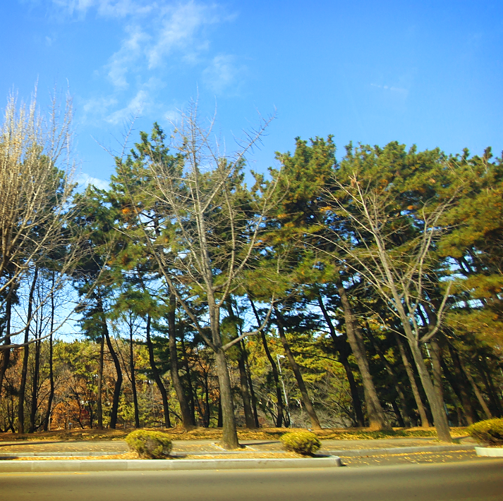 바른자세 맑은정신