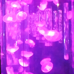 서른마흔다섯살