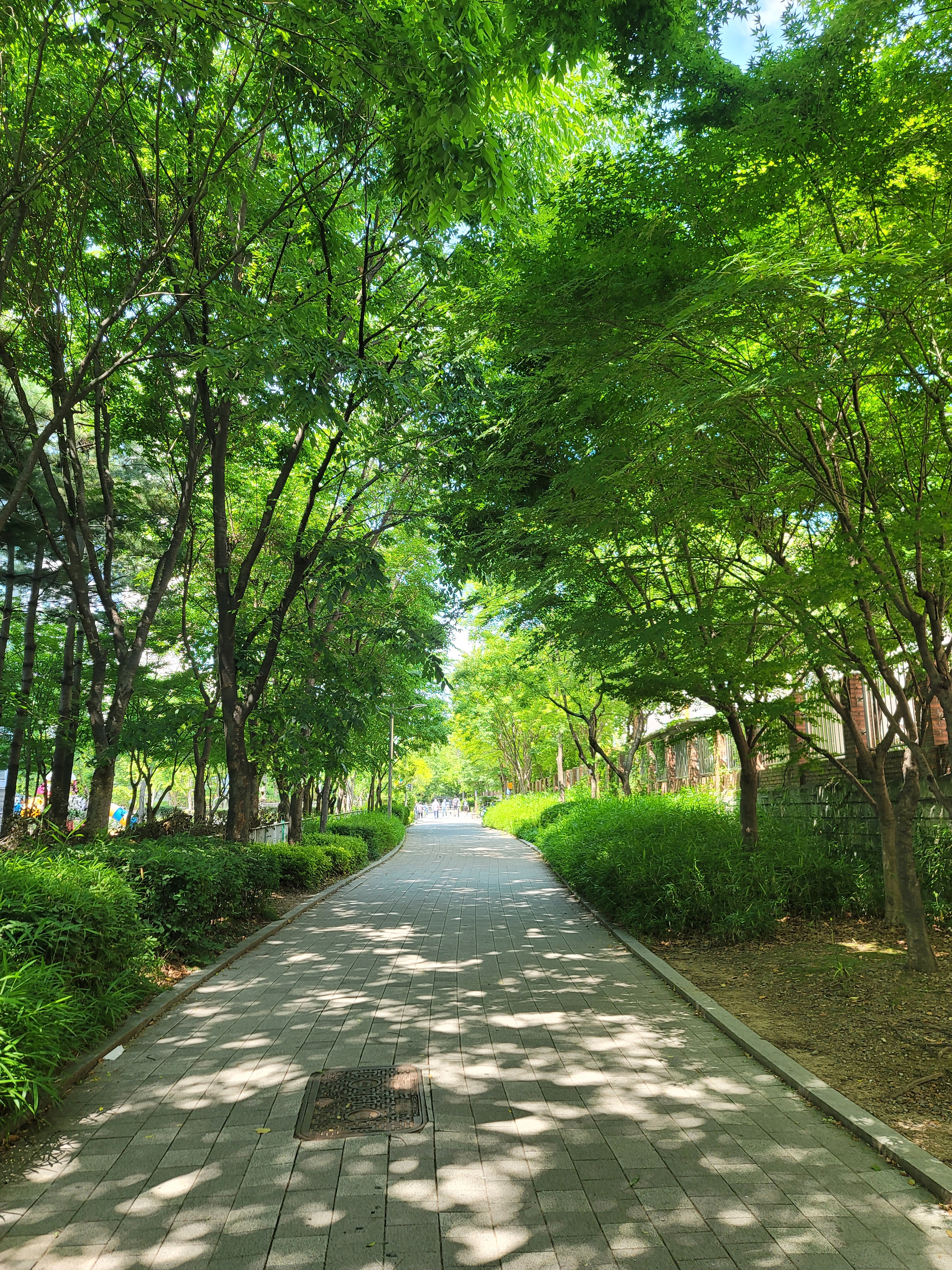 은근자유로운영혼