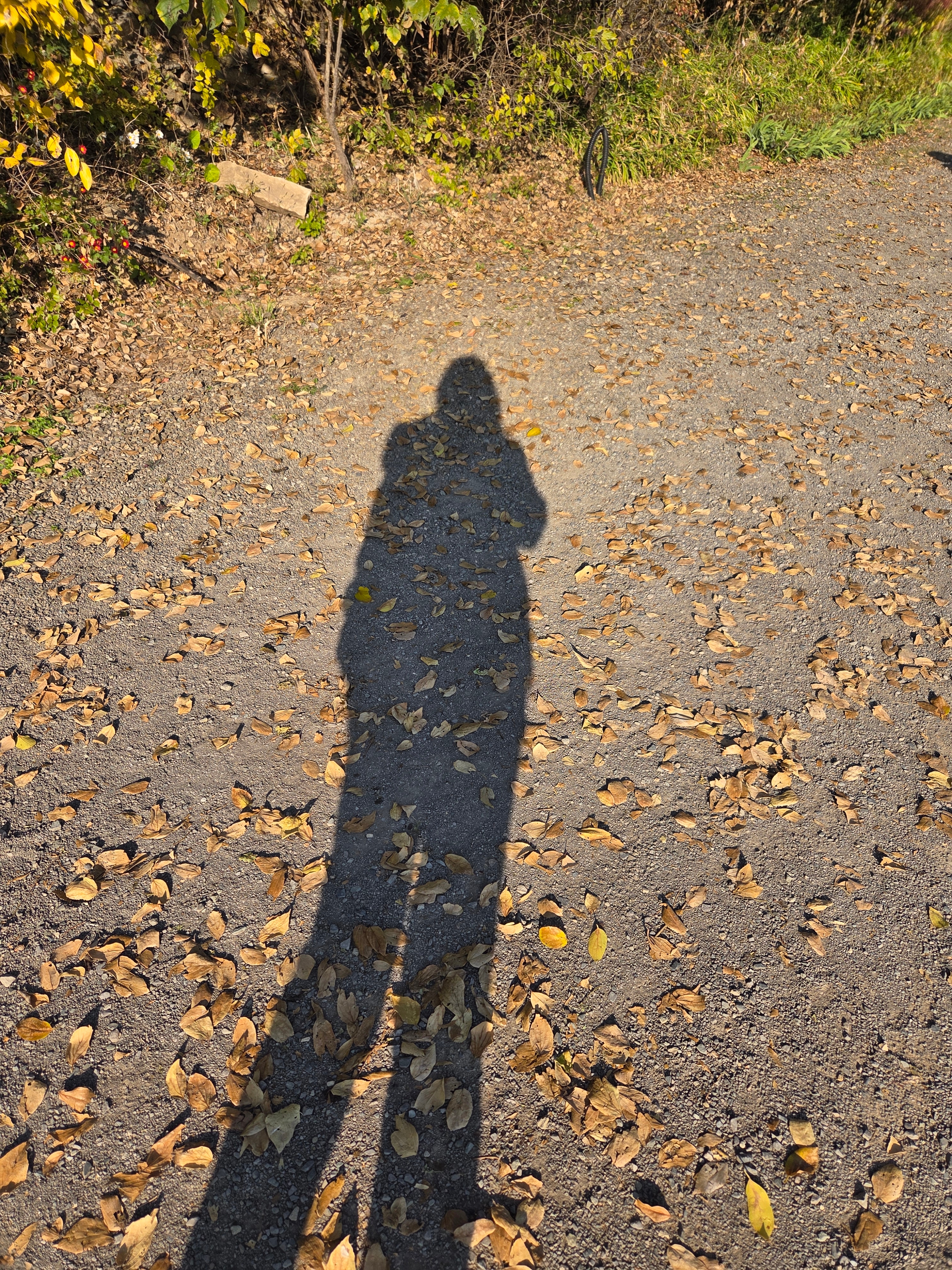 30대 후반의 첫 취직