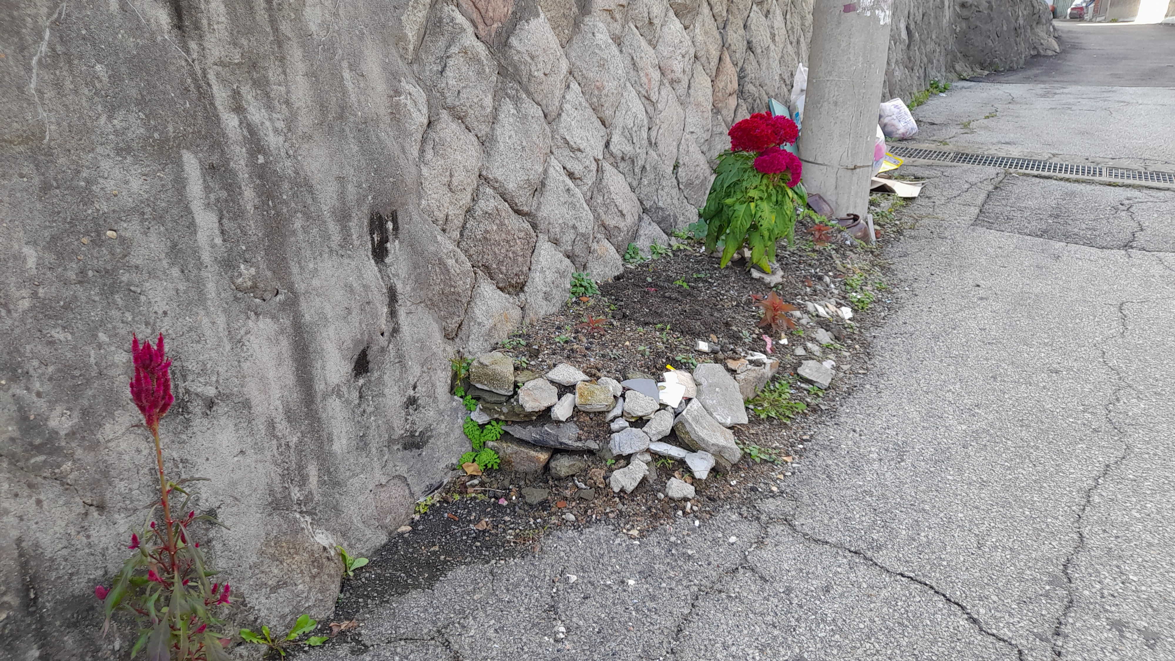 30대 후반의 첫 취직