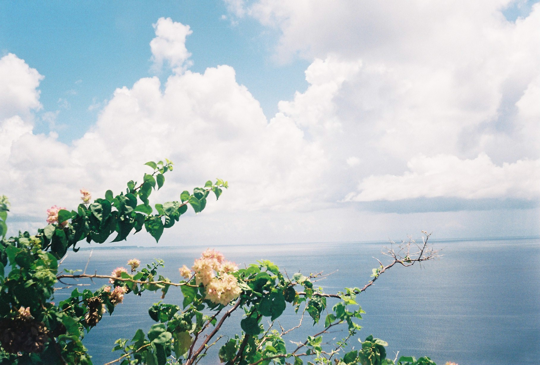 때로는 민트모카