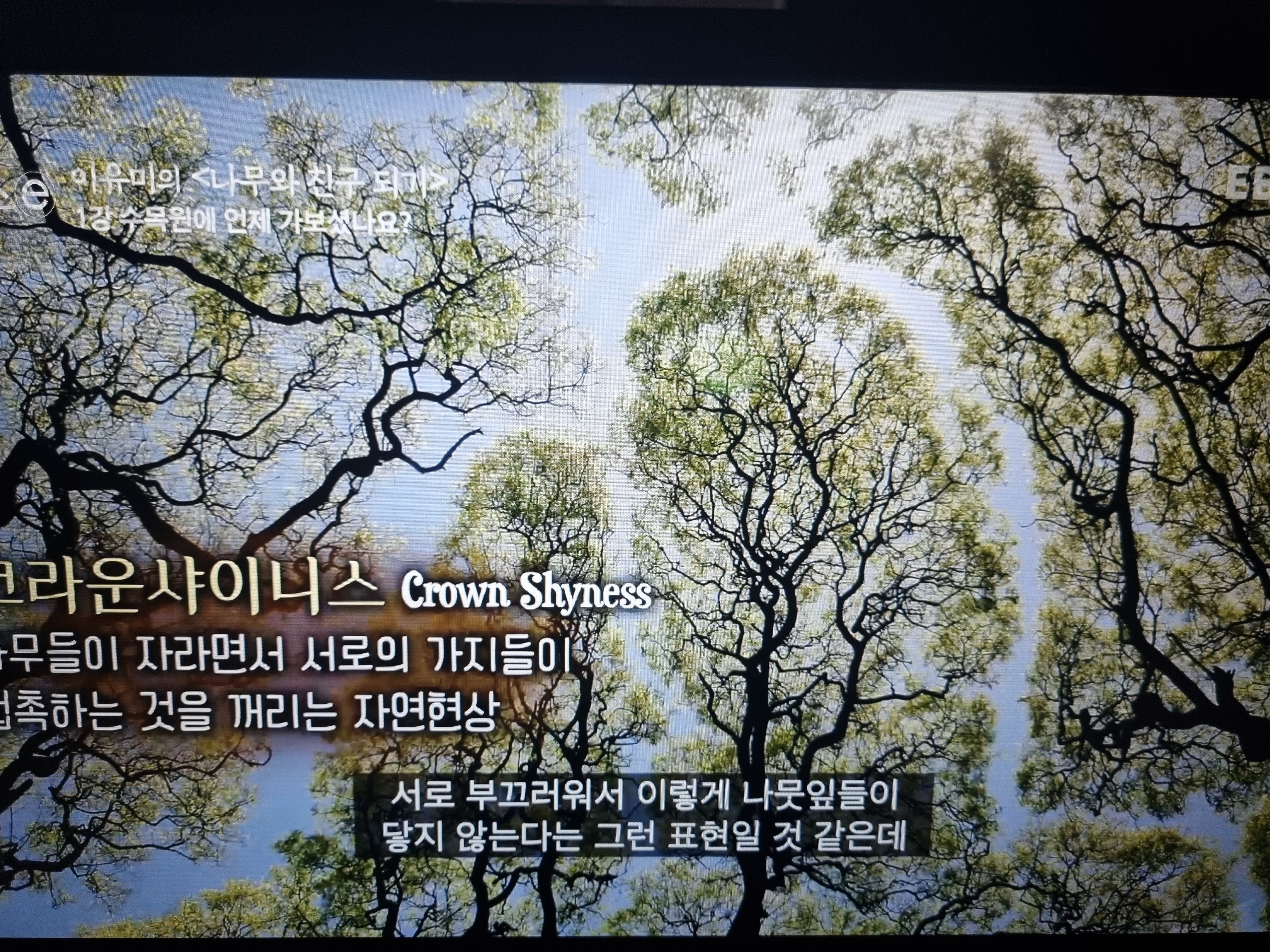 천리포 수목원에서의 하루