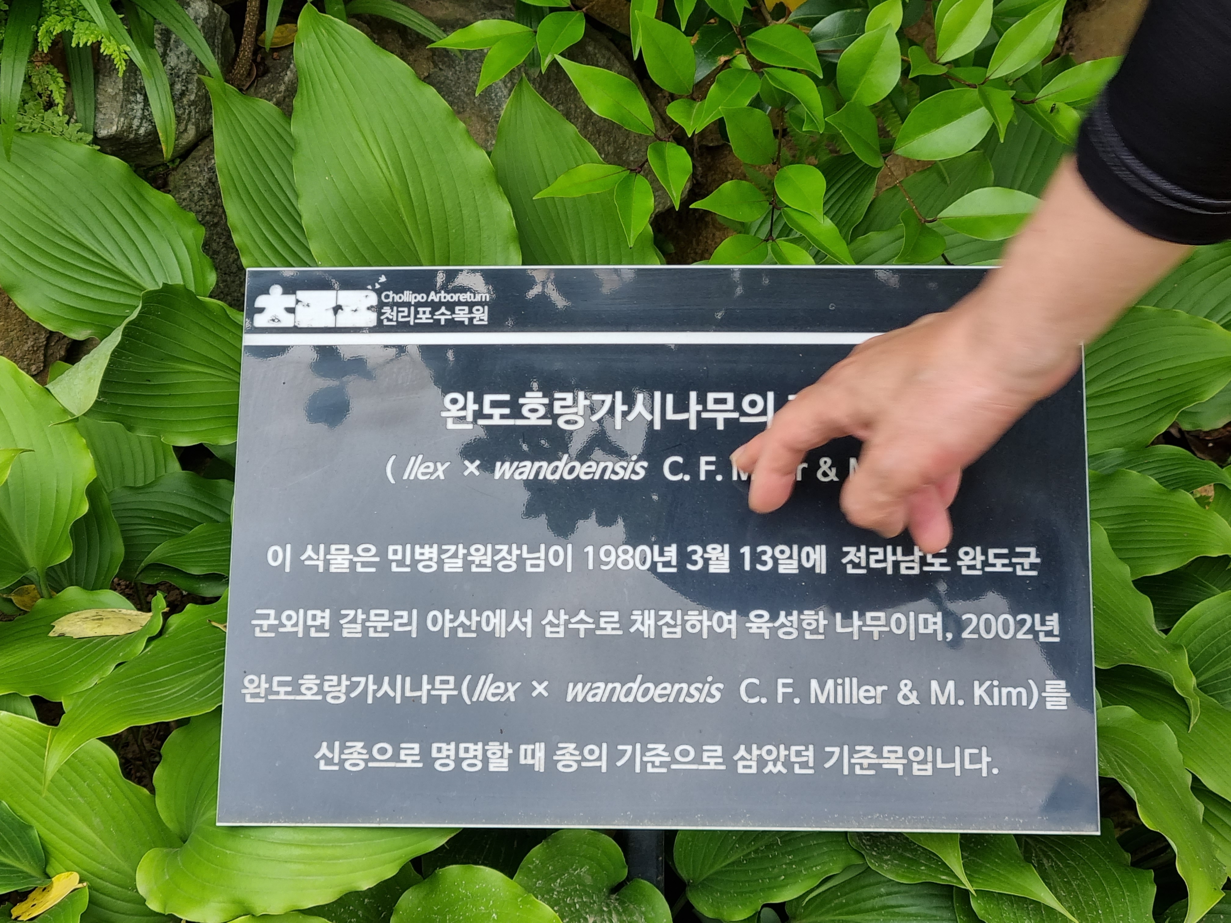 천리포 수목원에서의 하루