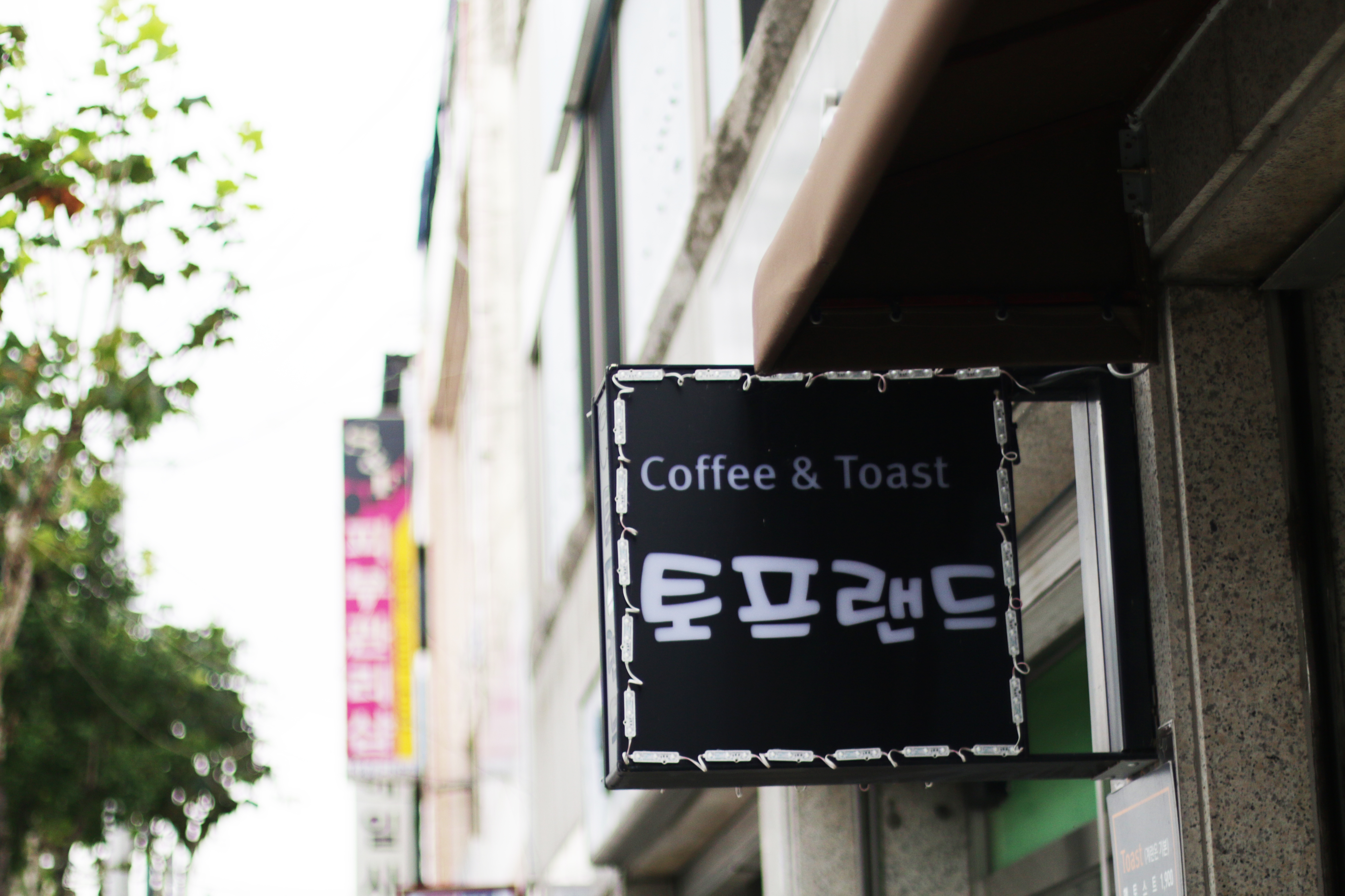 토프랜드 이미지