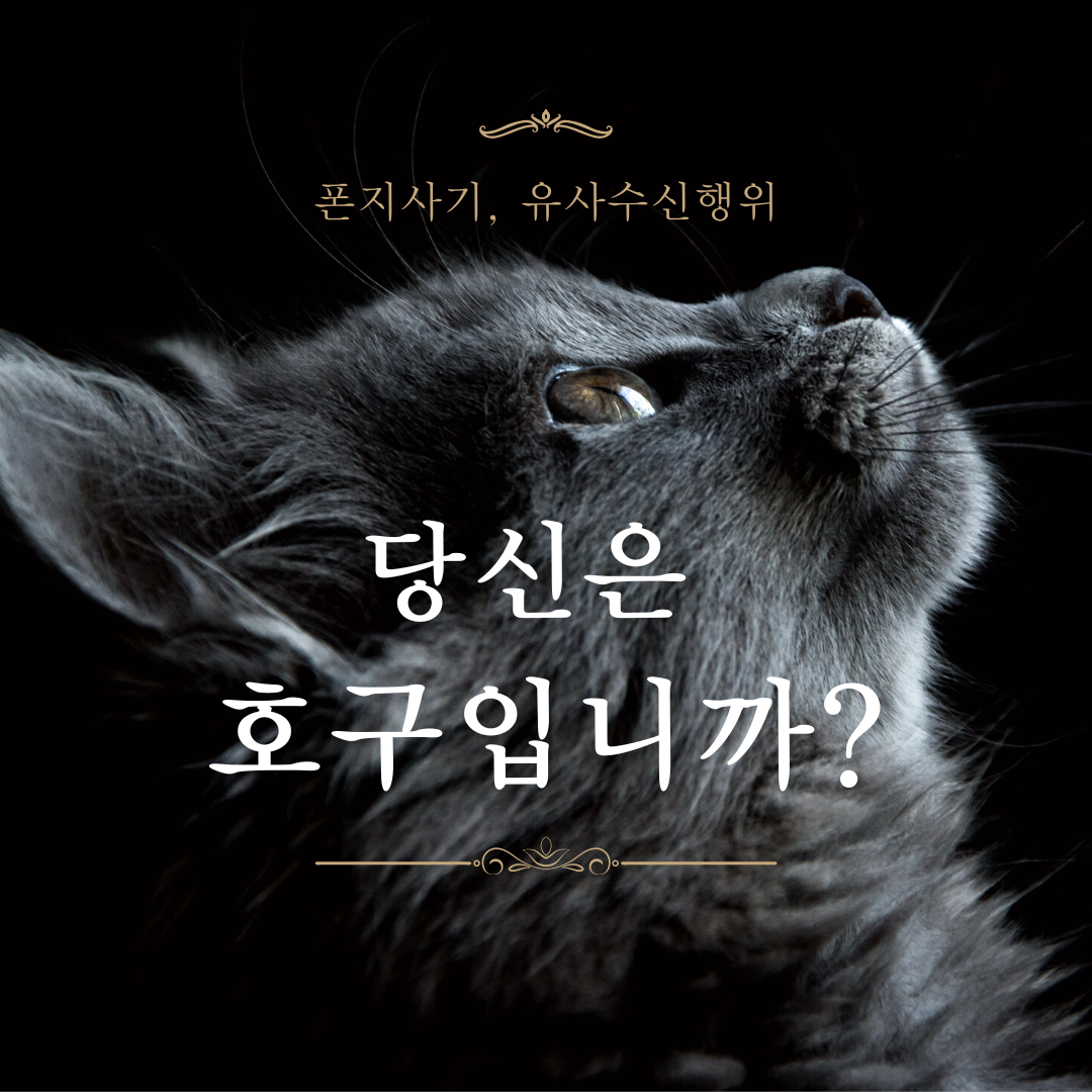 유사수신행위,폰지사기 - 제일 멍청하게 당하는 사기방법