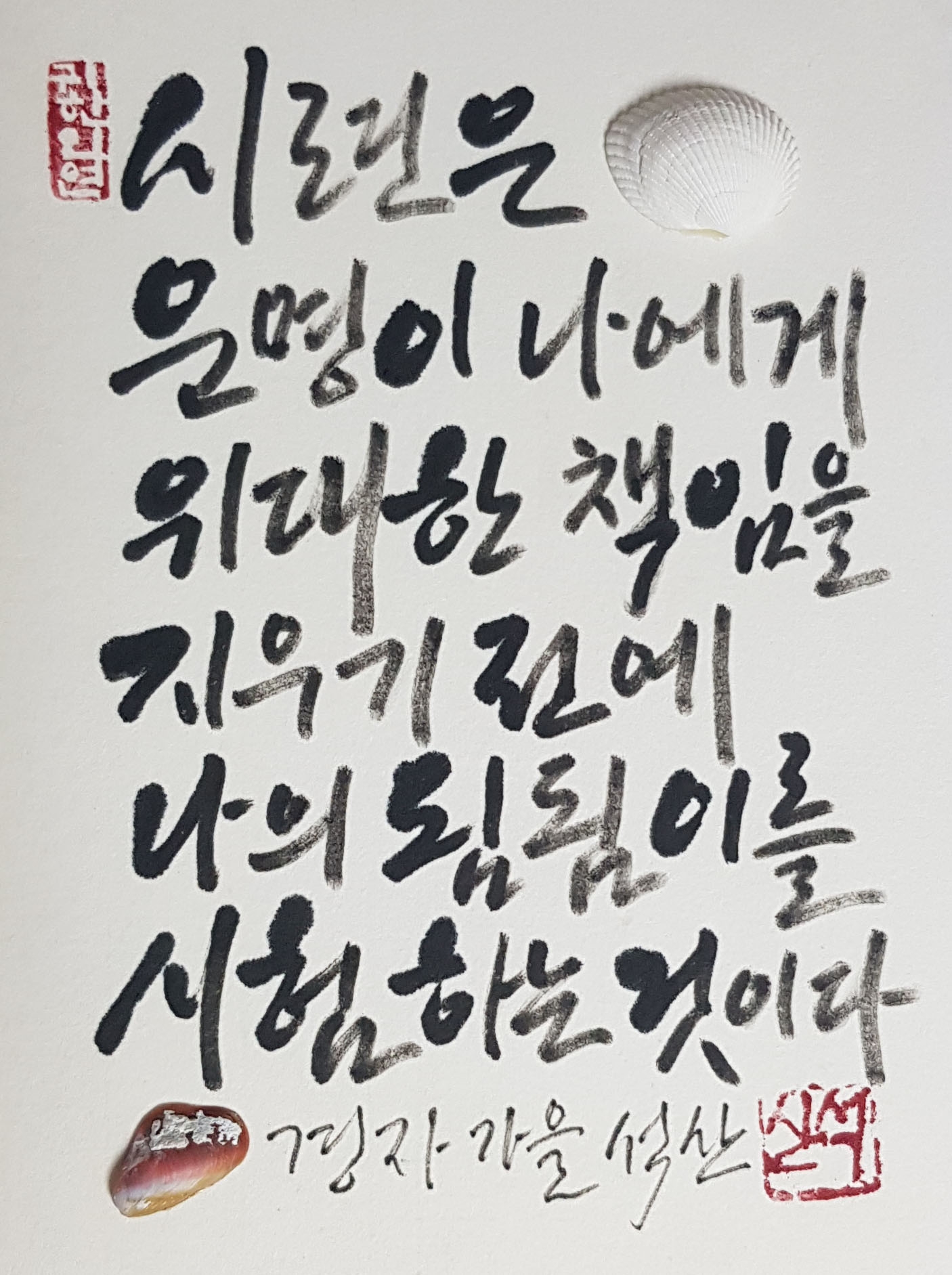 미소해 인셀덤 이미지