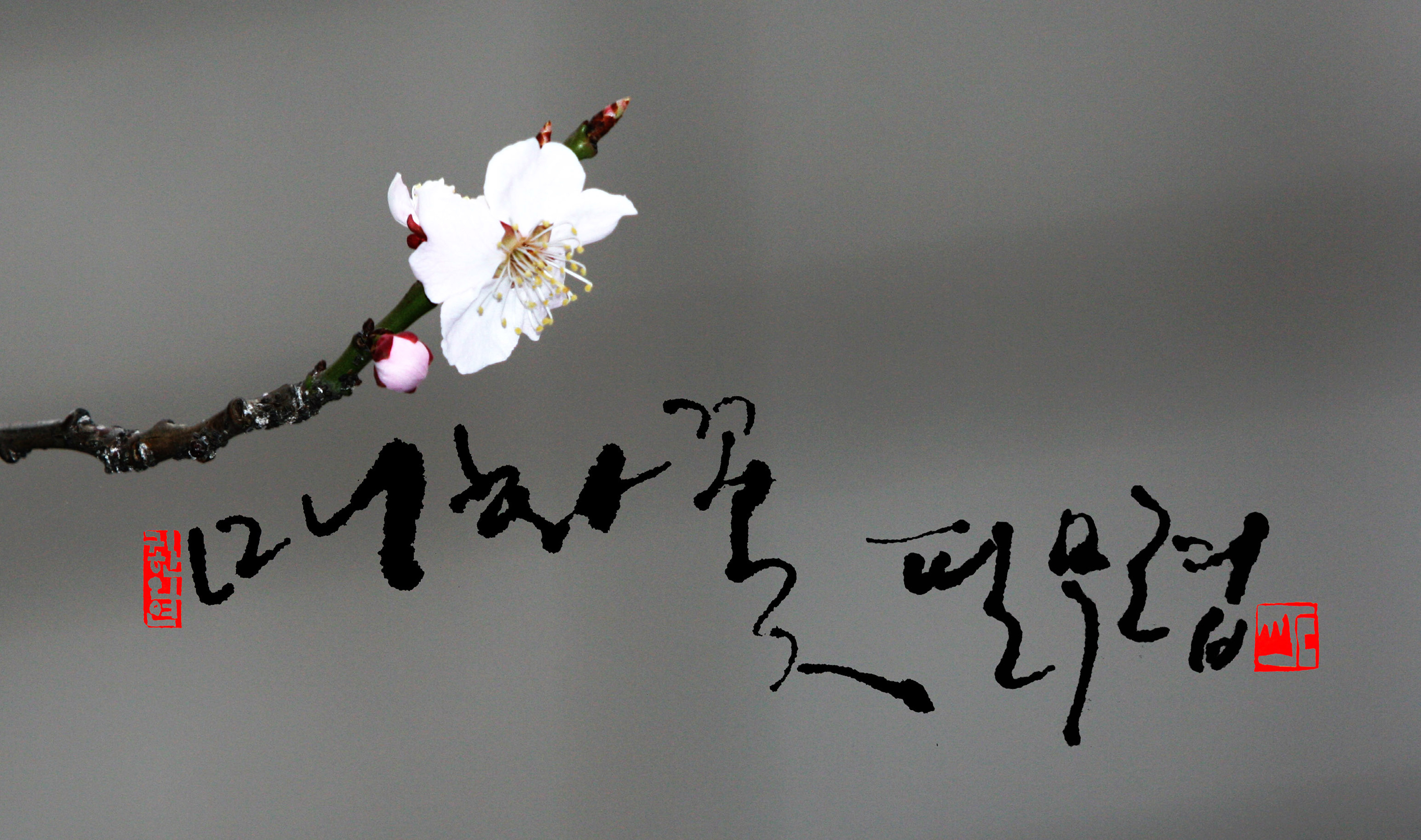 필작업실 이미지