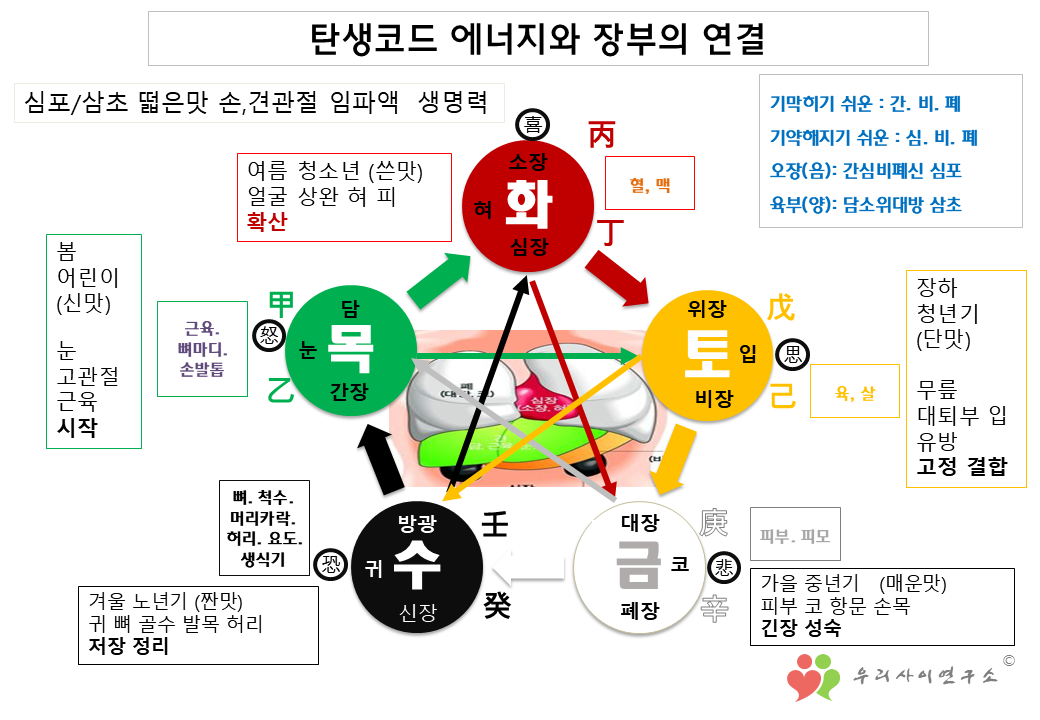 수(水)피부 이미지