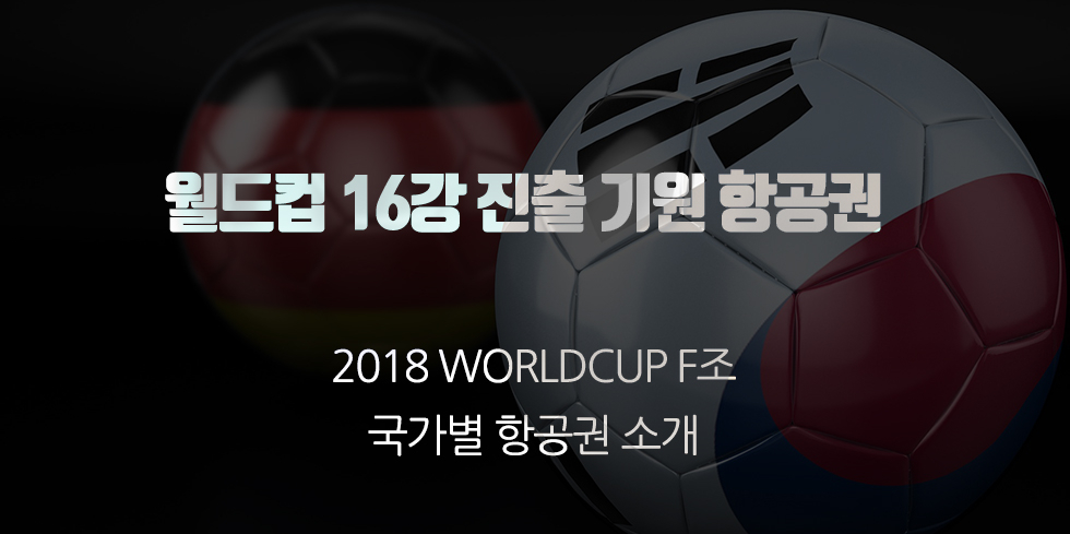 2018년 러시아 월드컵 F조 출전국 항공권