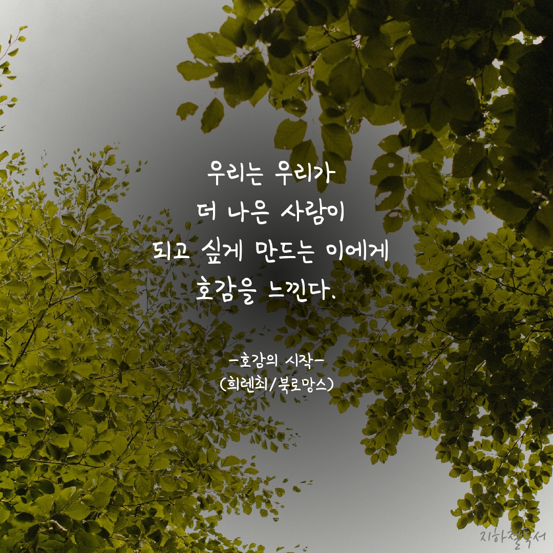 더호감 이미지