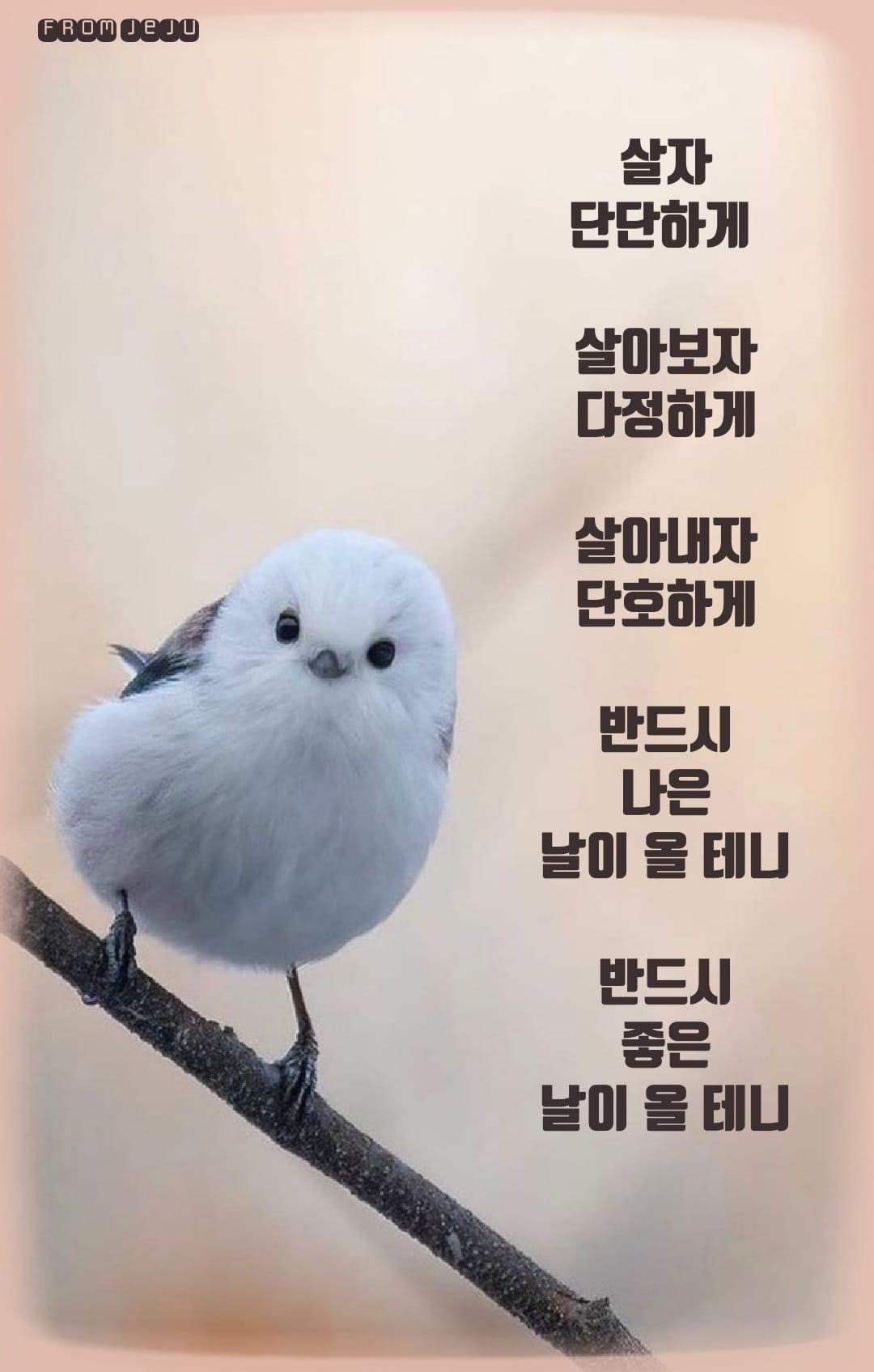 살아보자