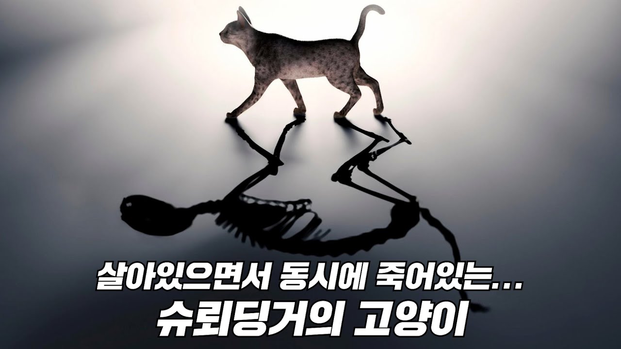 슈뢰딩거 이미지