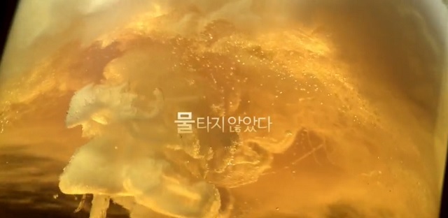 와인이야기 이미지